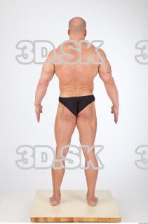 Body texture of Dale 0044